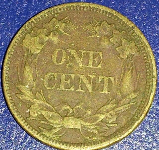The-51-Days-Of-Indian-Head-Cents-II-With-A-Fe-Cents-Prelude